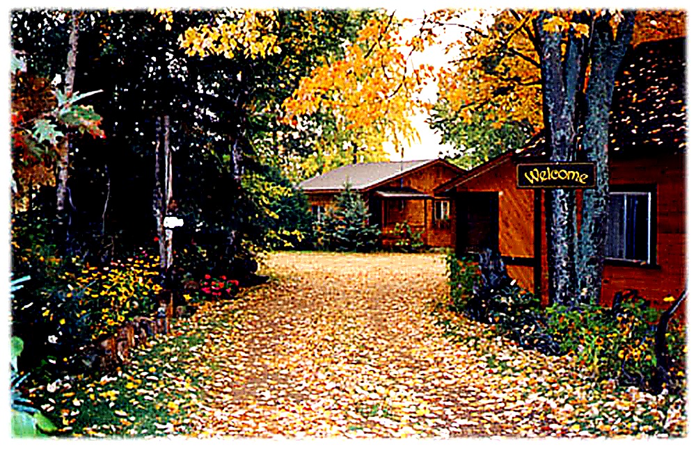 Entering Cosy Cove laneway