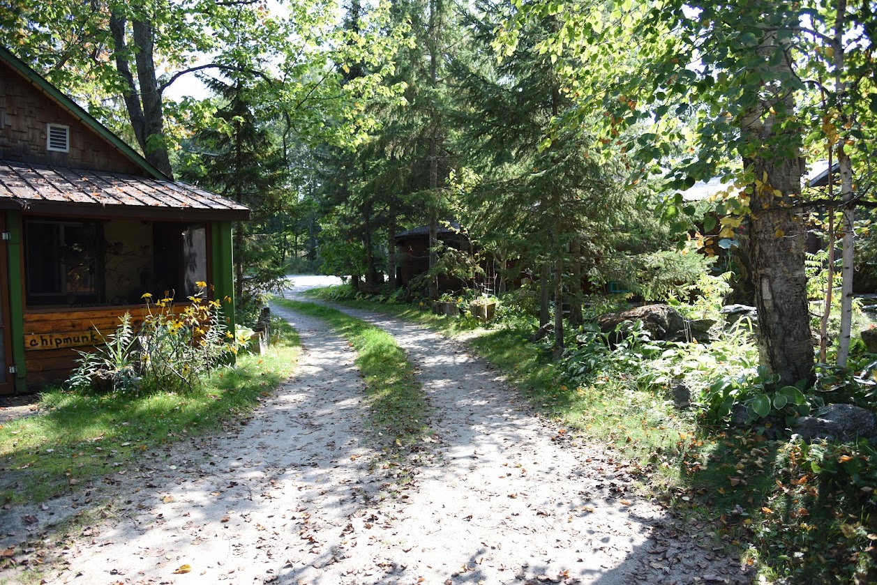 The peaceful laneway through the trees at Cosy Cove